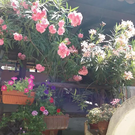 Hanche Kati Casa de hóspedes Popovo